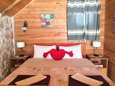 Villa Ceviz Evi Sarıbelen 61