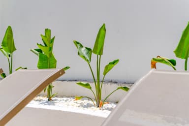 Villa Asteria Korunaklı Havuz 44