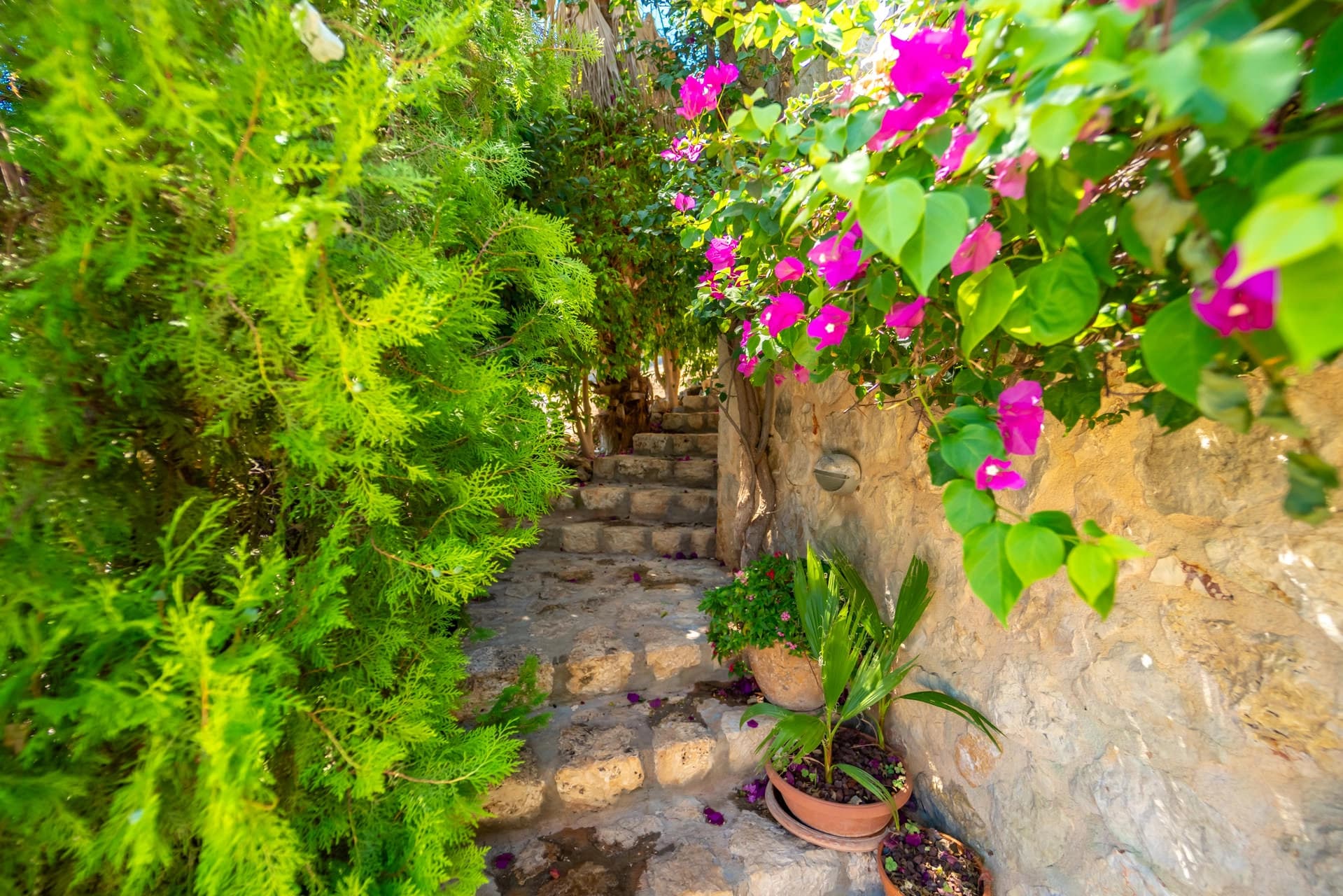 Villa Melisa Kalkan 72