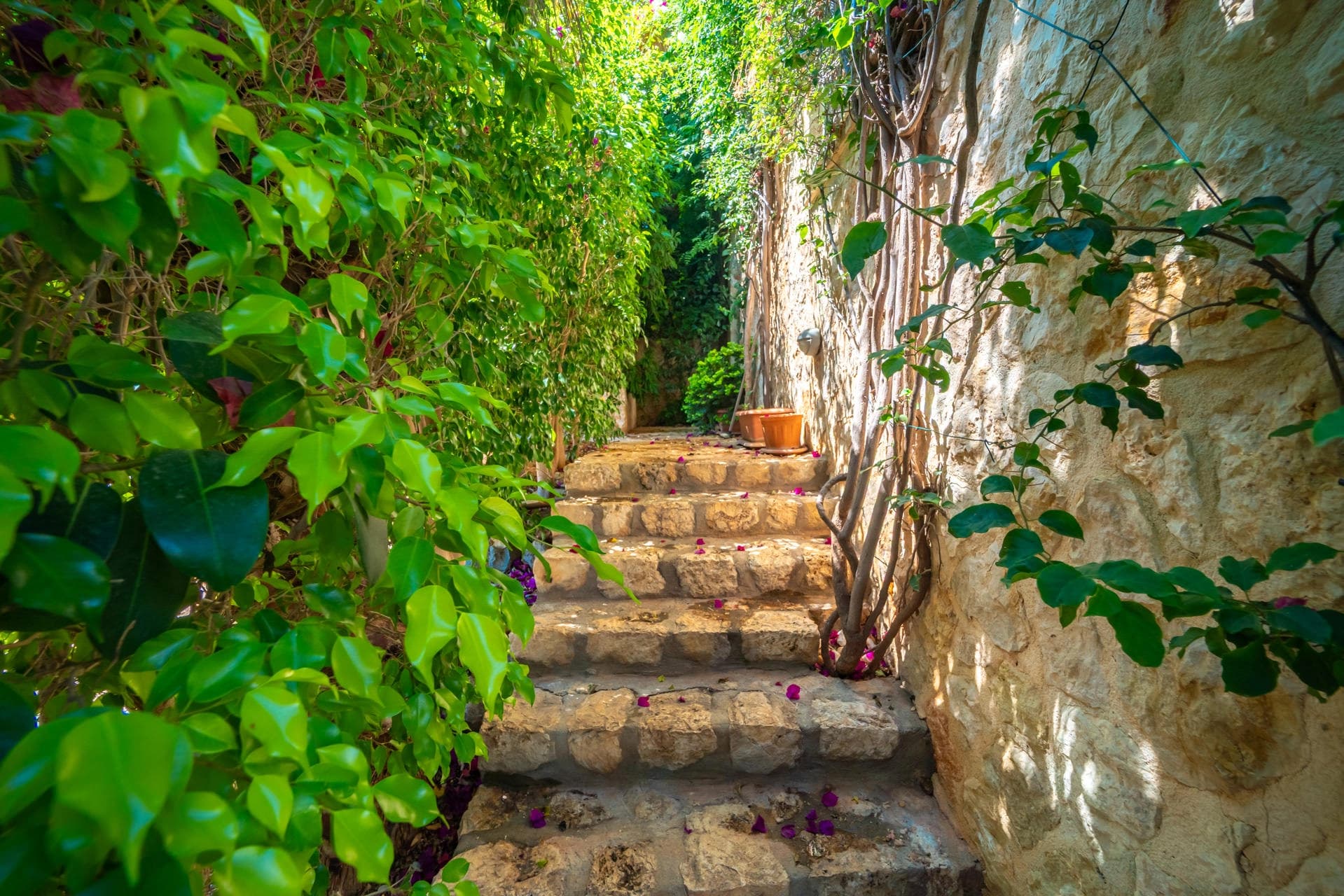 Villa Melisa Tatil Villası 79