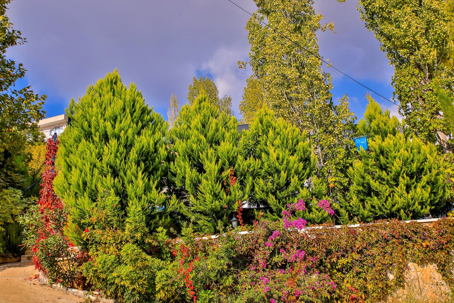 Villa Bella Korunaklı Havuz 22