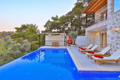 Villa Aslan Korunaklı Havuz 64