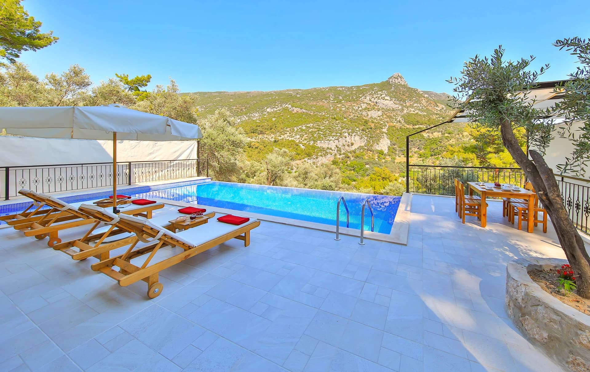 Villa Aslan Korunaklı Havuz 70