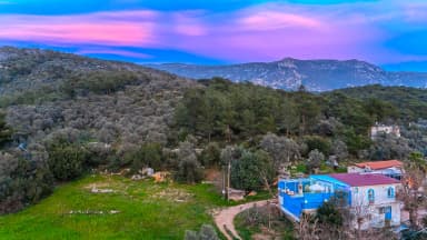 Villa Ekinezya Korunaklı Havuz 13