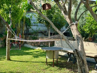 Villa Renk Korunaklı Havuz 55