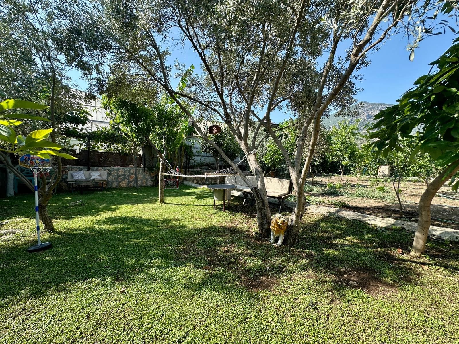 Villa Renk Çavdır 76