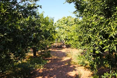 Villa Gündoğan Bodrum 80