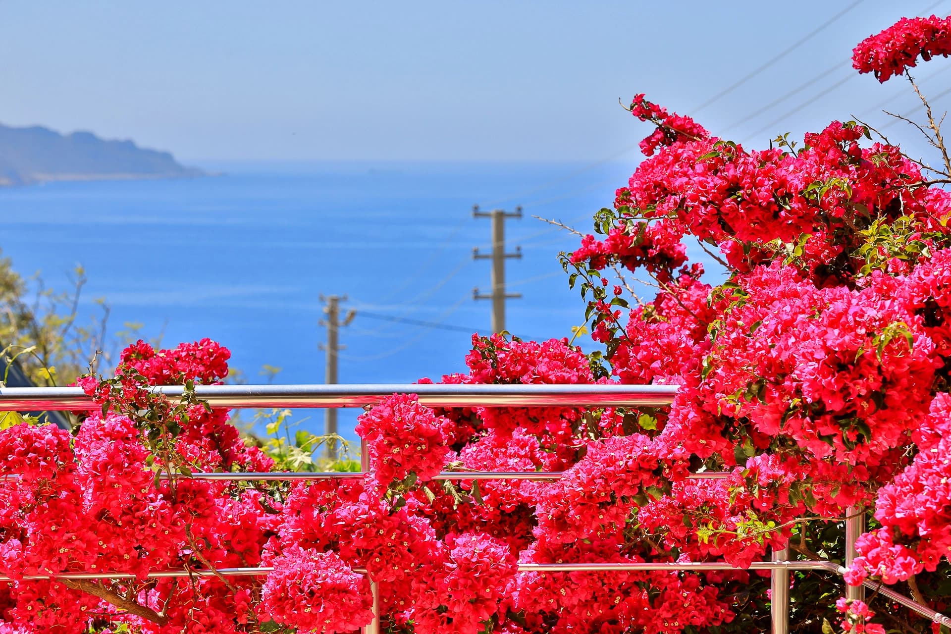 Villa Sarı Kaş Korunaklı Havuz 45