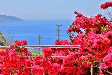 Villa Sarı Kaş Korunaklı Havuz 45