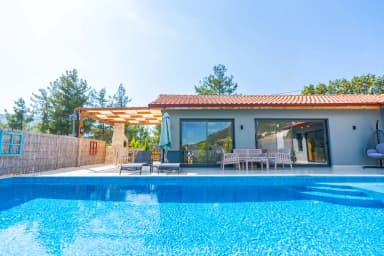 Villa incir Sarıbelen 35