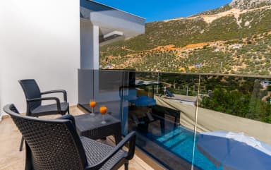 Villa Savoye Korunaklı Havuz 59