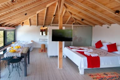 Villa Saten Üzümlü 99