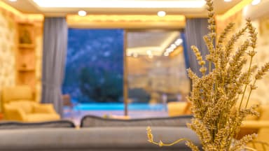 Villa Çamlık Korunaklı Havuz 25