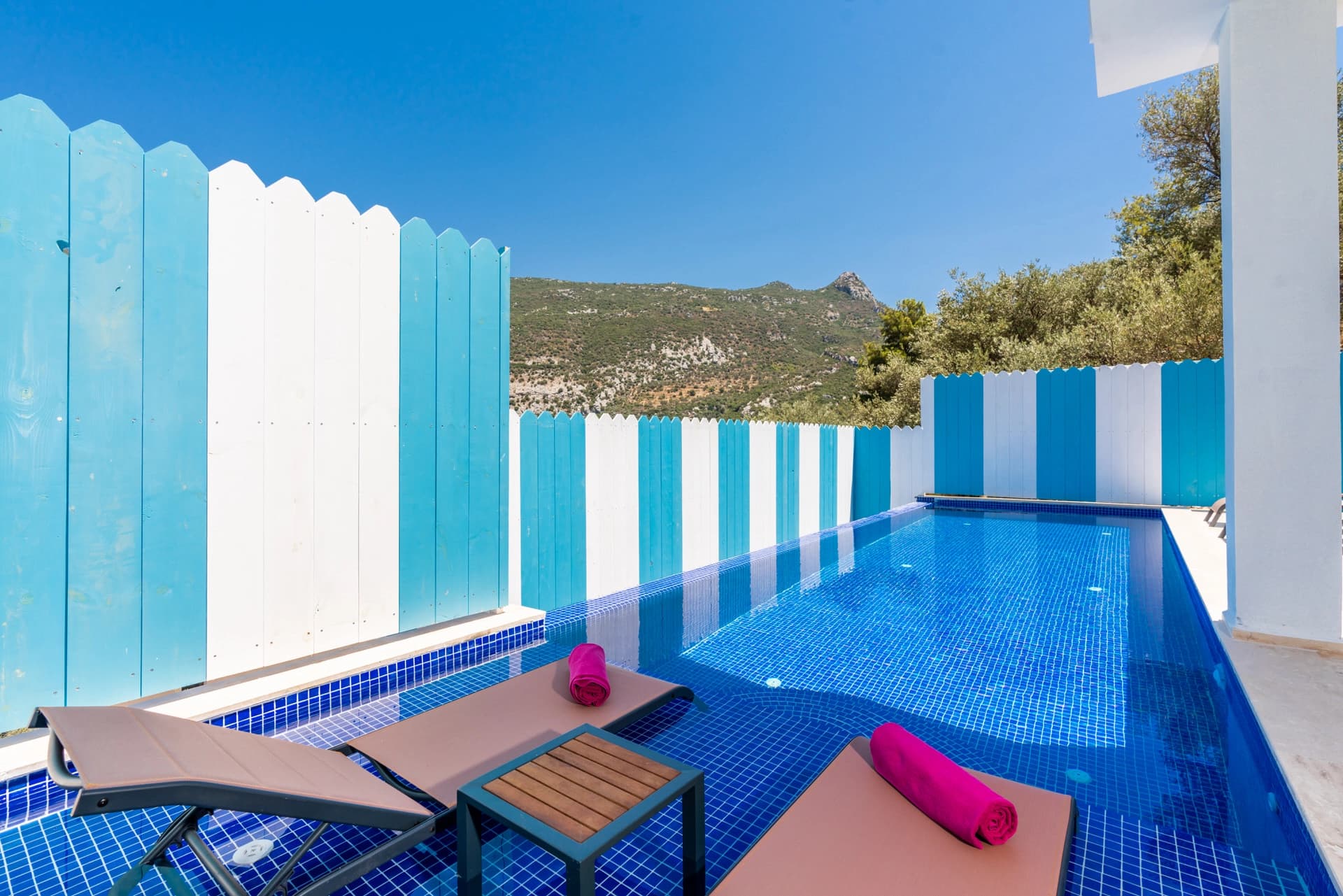 Villa Leon Korunaklı Havuz 69