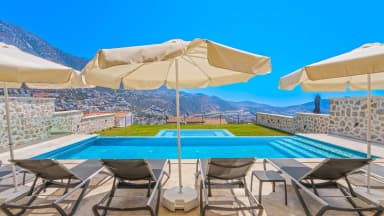 Villa Lion Çocuk Havuzu 41