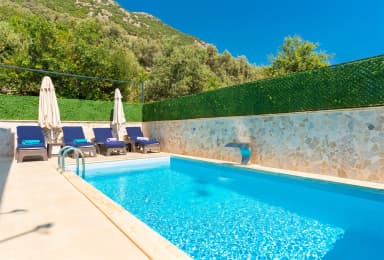Villa Alkım Bade Korunaklı Havuz 61