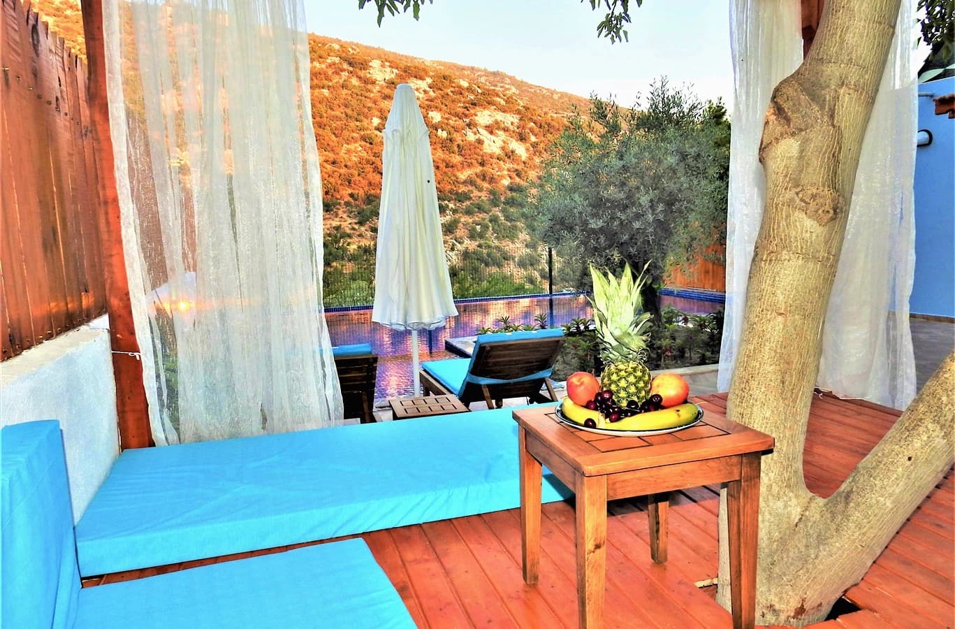 Villa Rayna Korunaklı Havuz 70