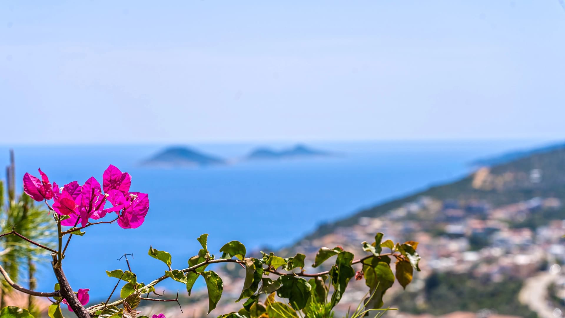 Villa Dolce Özel Havuzlu 70