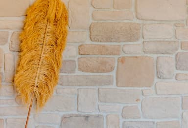 Villa Elysium Tatil Villası 88