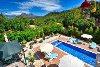 Villa Ahududu Çocuk Havuzu 44