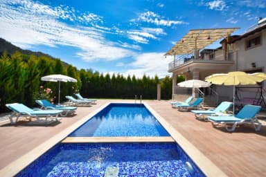 Villa Ahududu Çocuk Havuzu 38