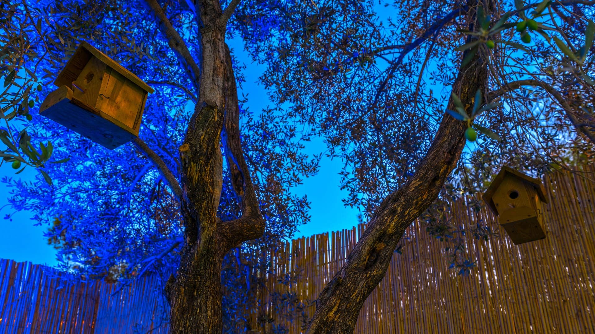 Villa Sezar Patara Patara 44