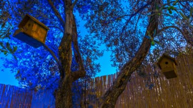 Villa Sezar Patara Patara 44