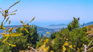 Villa Aras 2 Korunaklı Havuz 43