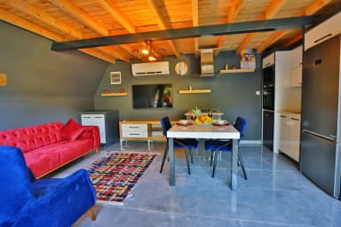 Villa Dorelli Korunaklı Havuz 66