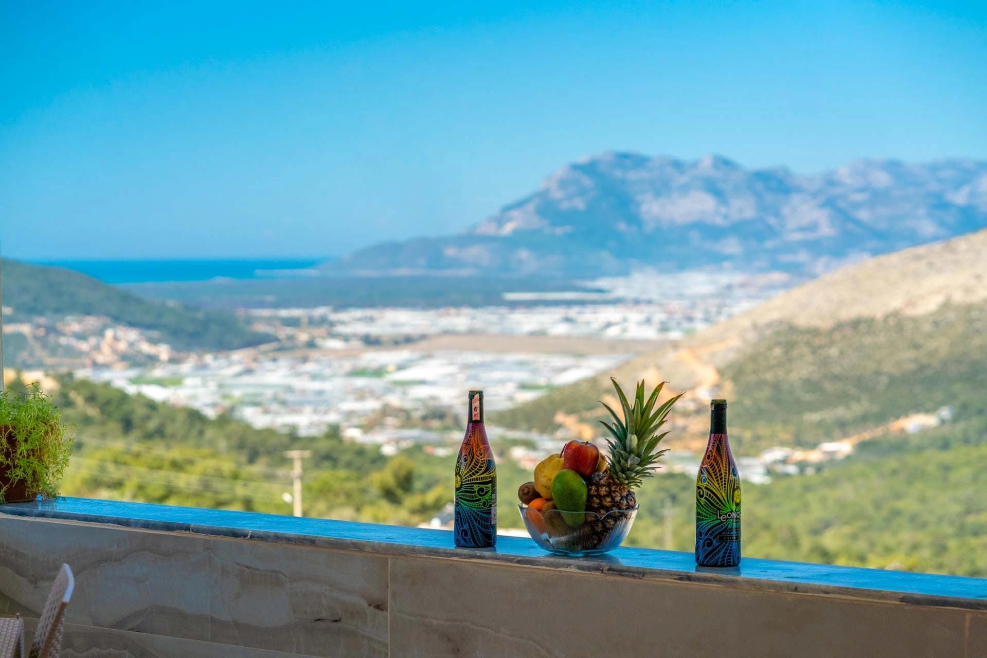 Suit Diana Kalkan 62