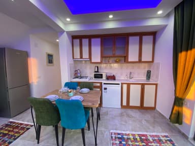 Villa Zeytin Sarnıç Korunaklı Havuz 44