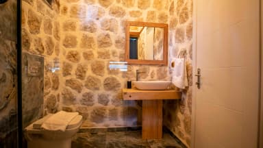 Villa Big Boss Çocuk Havuzu 55