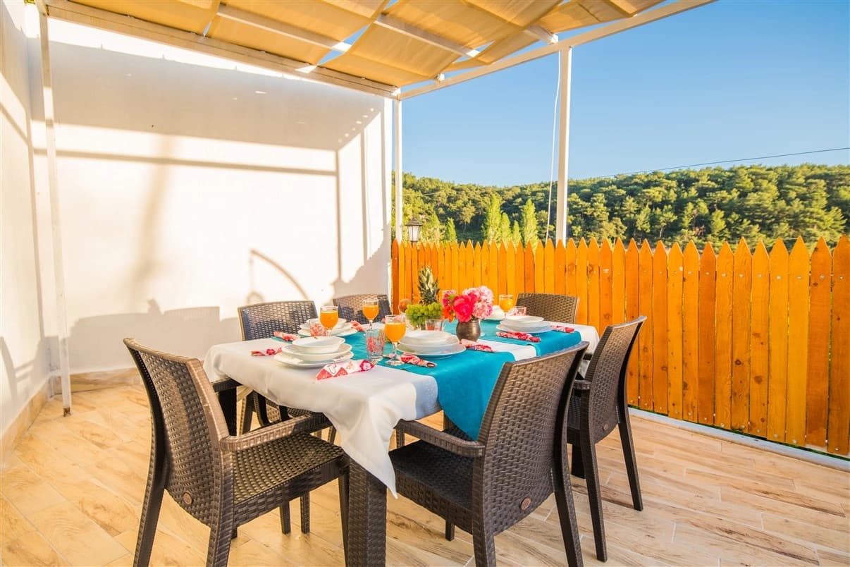 Villa Mevsim Üzümlü Korunaklı Havuz 50