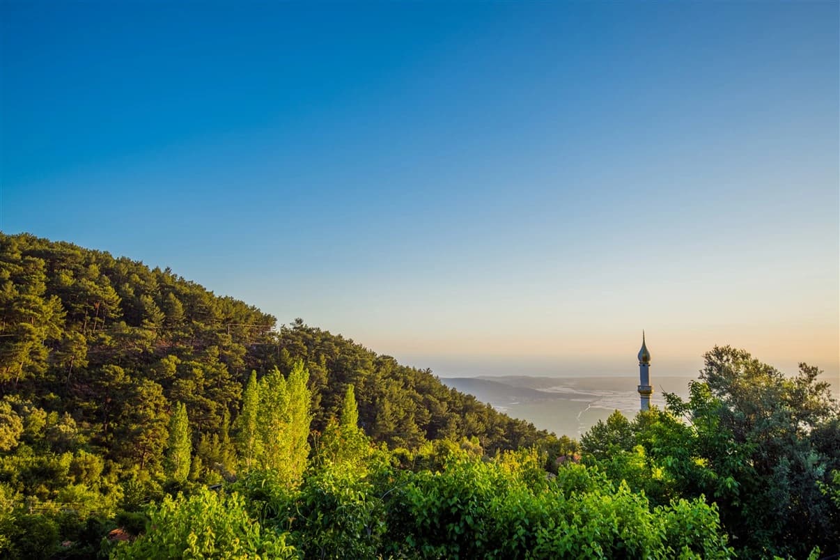 Villa Mevsim Üzümlü Korunaklı Havuz 64