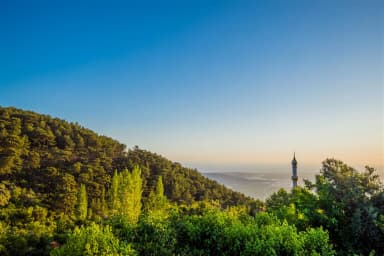 Villa Mevsim Üzümlü Korunaklı Havuz 64