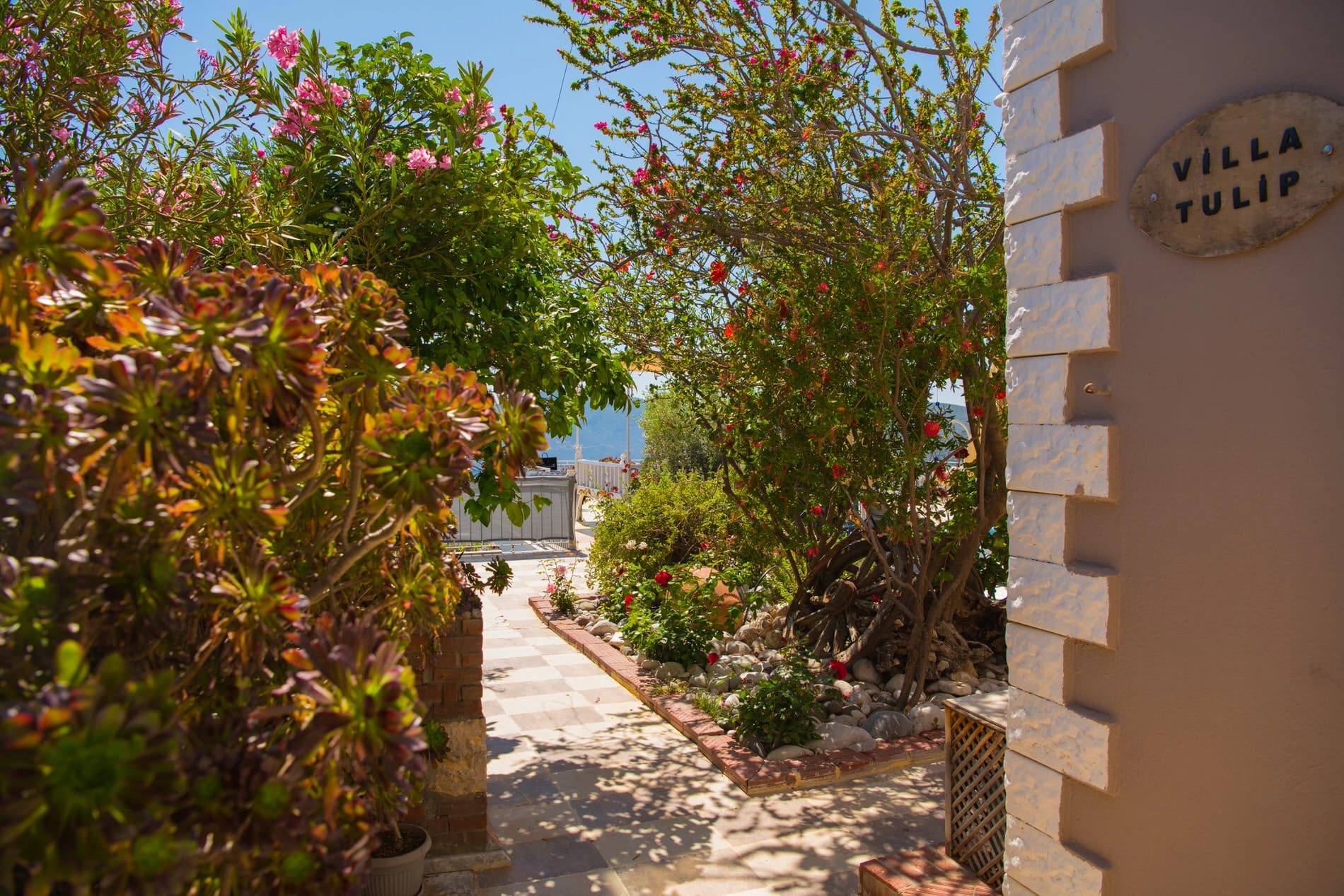 Villa Tulip Kalkan 91