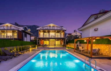 Villa Detay A Korunaklı Havuz 24