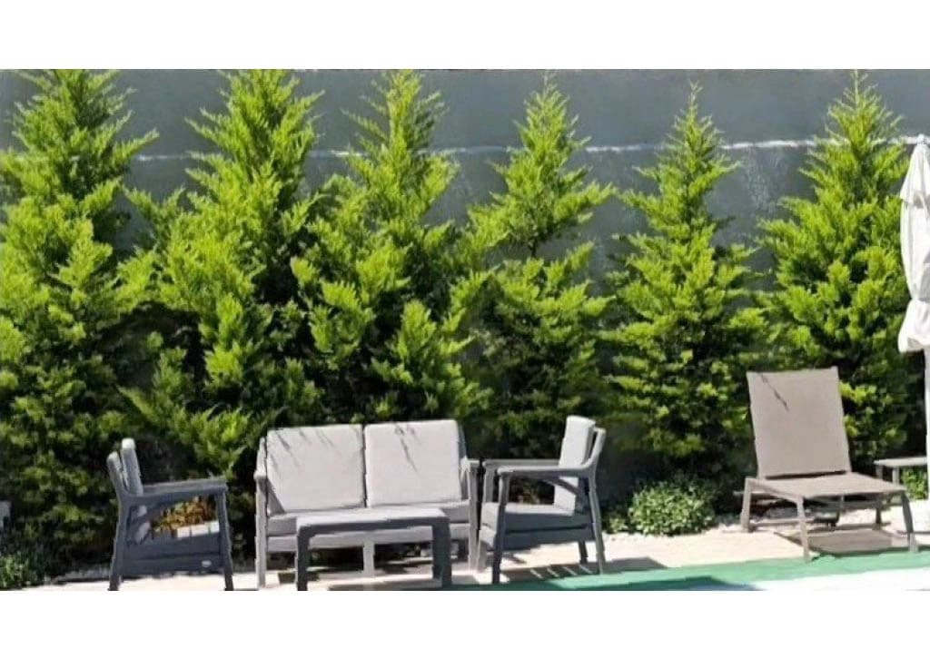 Villa Aurelia 4 Fethiye 67