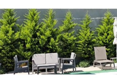 Villa Aurelia 4 Fethiye 67