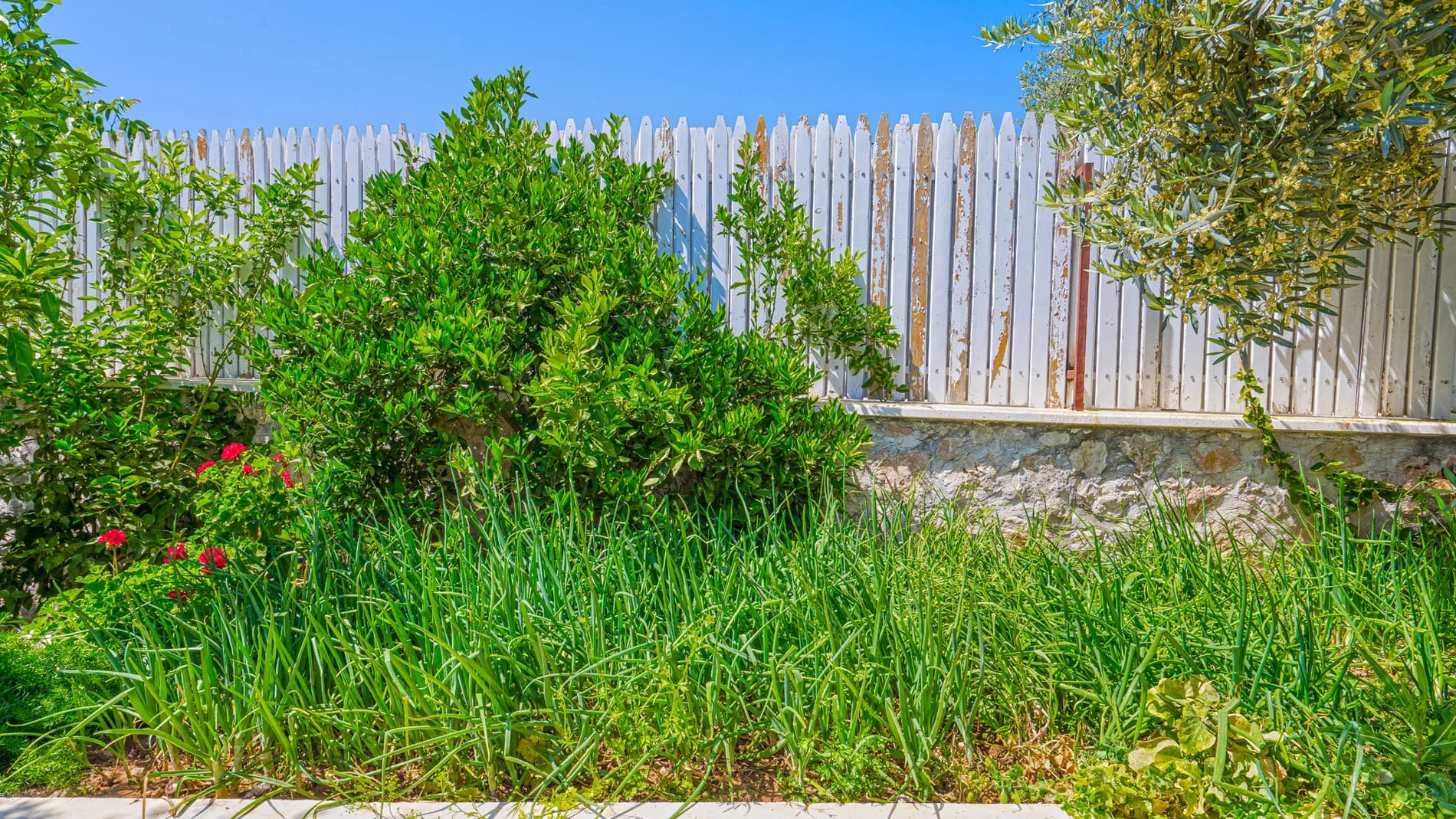 Villa Emma Üzümlü 28