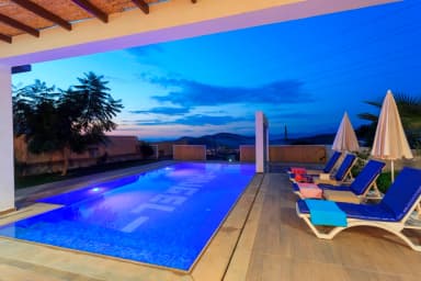 Villa Prestige G Çocuk Havuzu 27