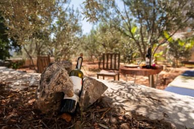 Villa Olives Korunaklı Havuz 85