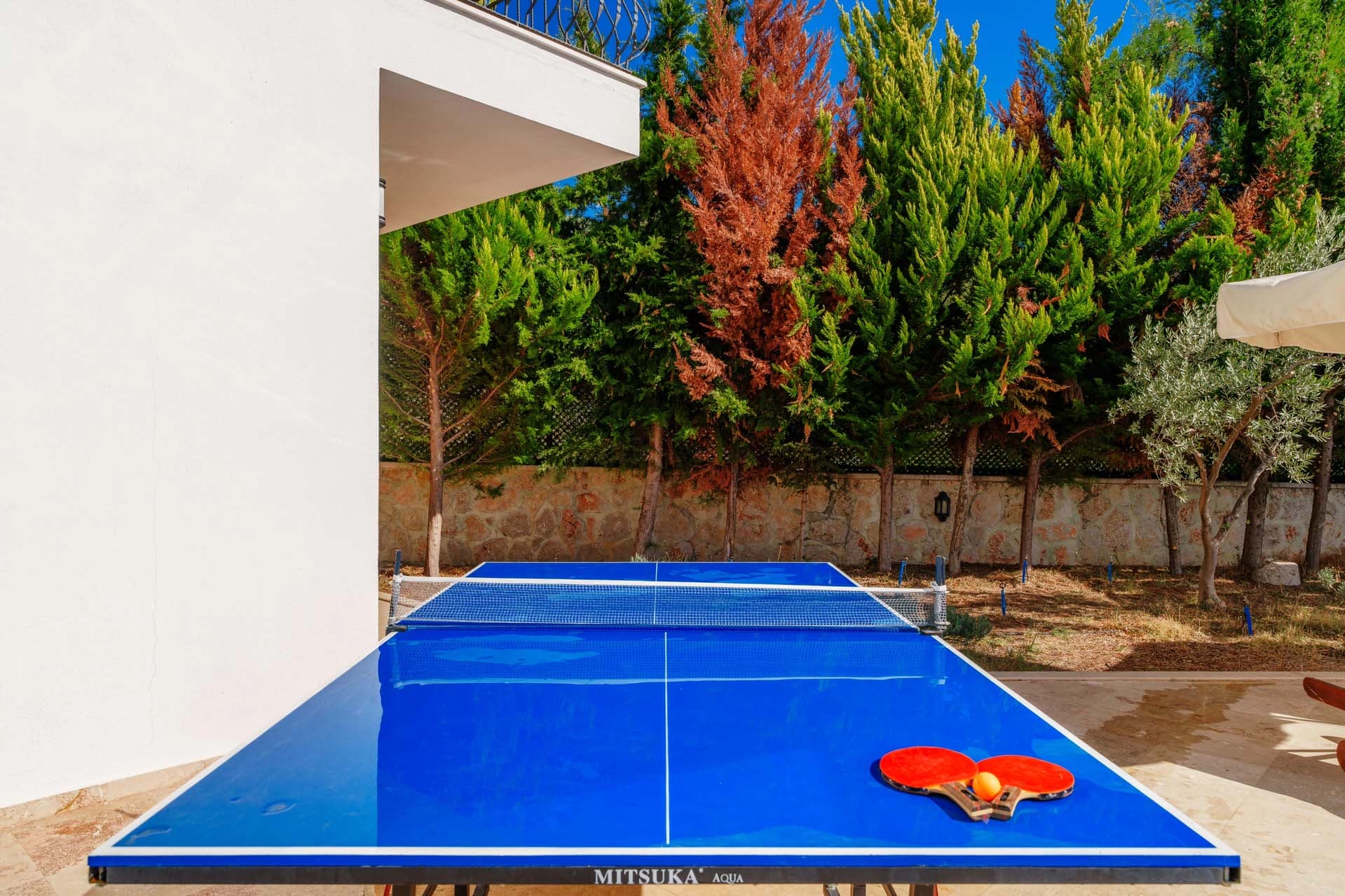 Villa Beyaz İslamlar Korunaklı Havuz 79