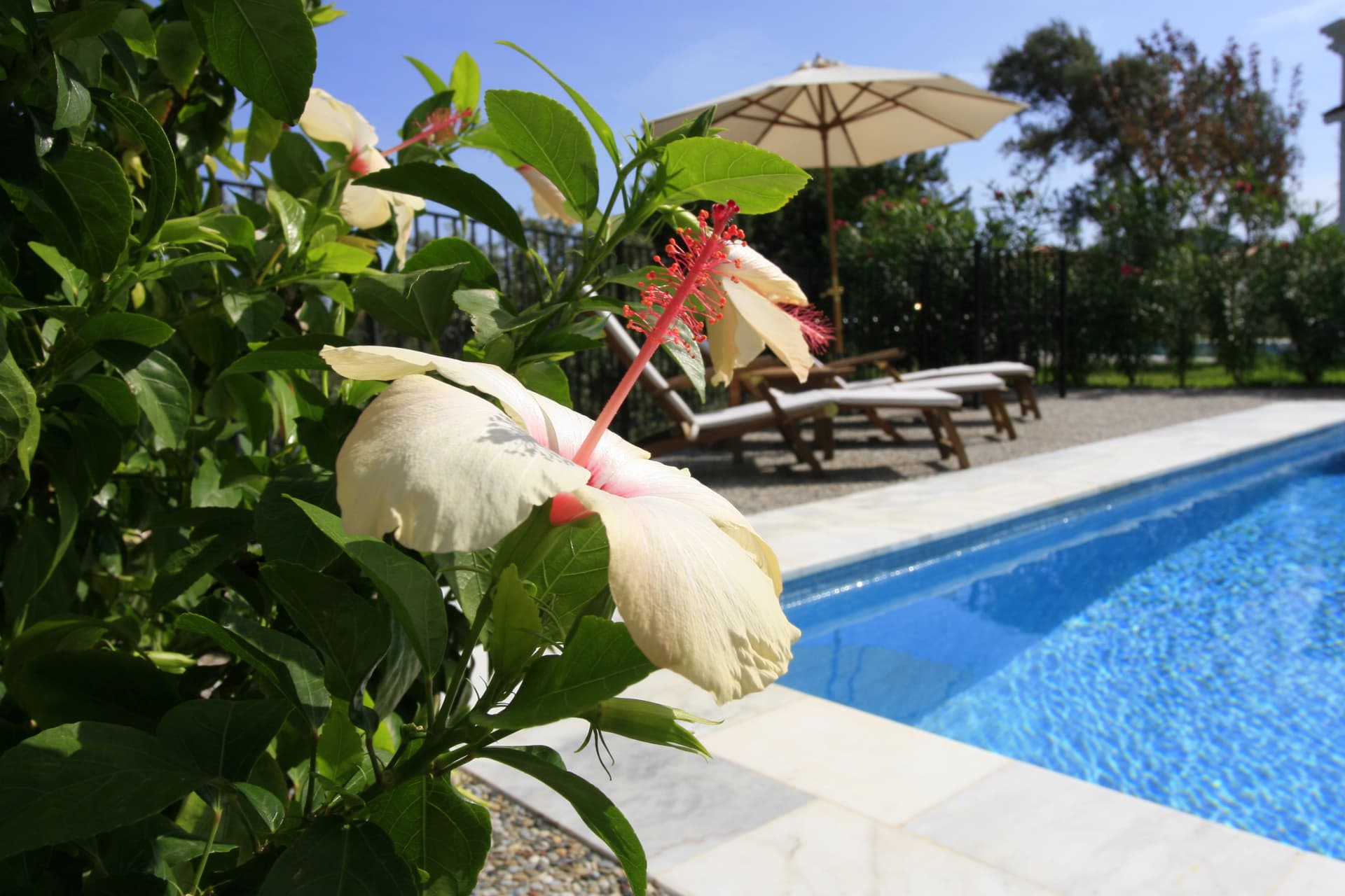 Villa Pool Marmaris 62