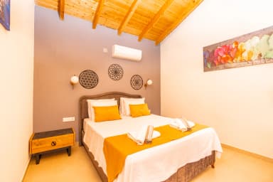 Villa incir Sarıbelen 65