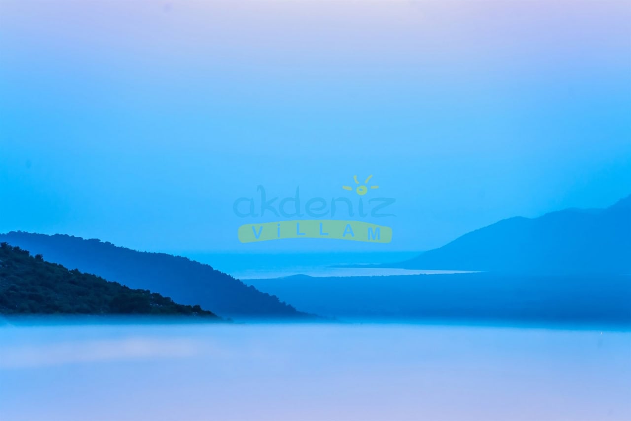Resim Açıklaması