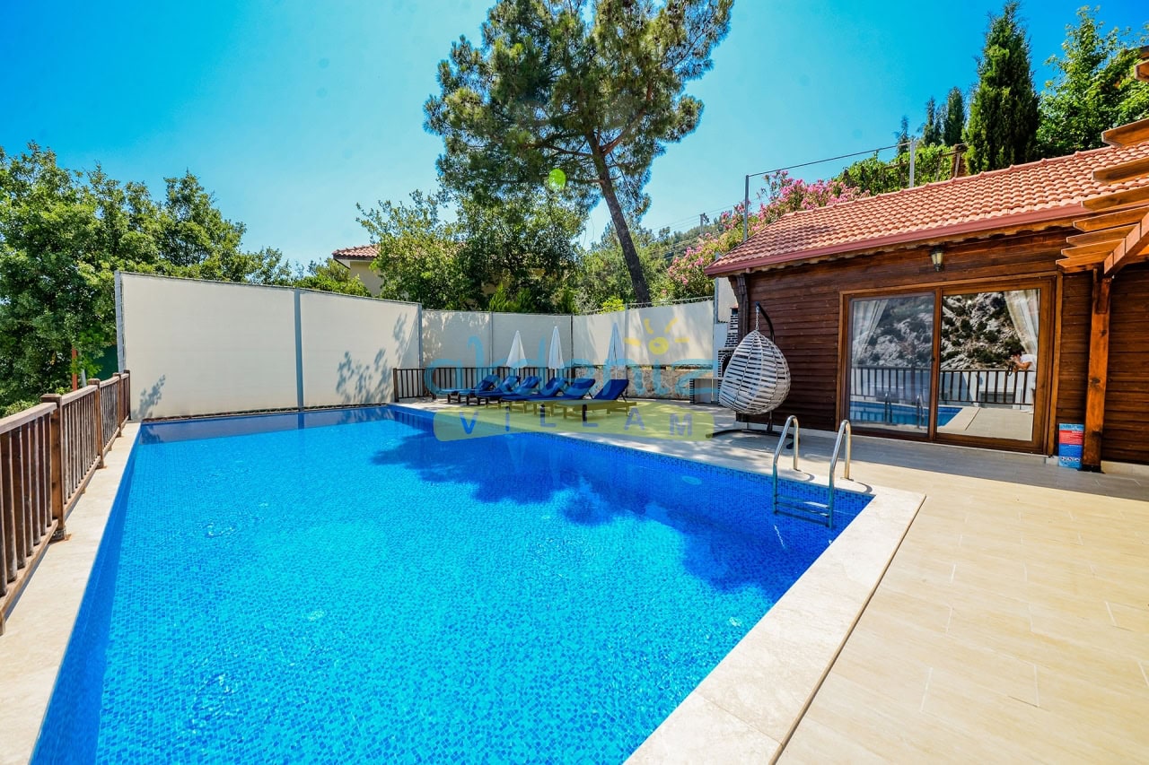 Resim Açıklaması