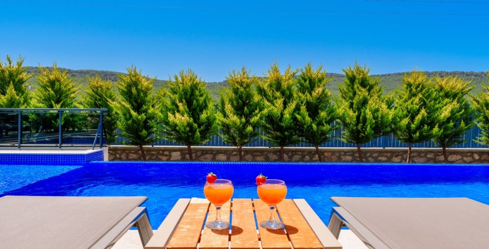 Villa Palmira