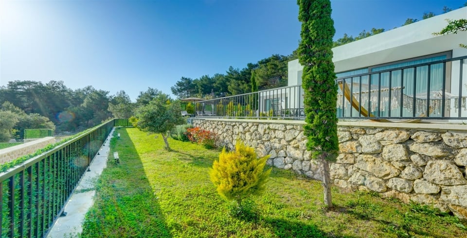 Villa Pluto 1