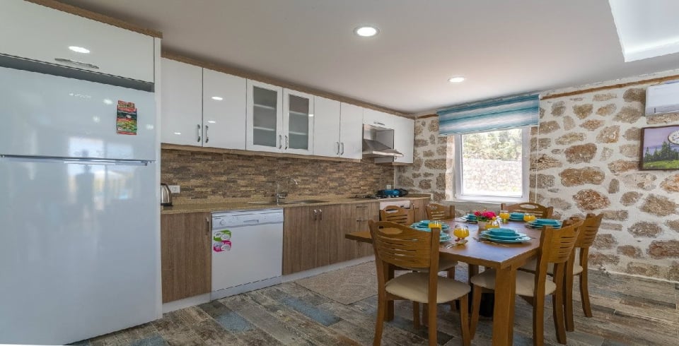 Villa Emir Üzümlü Duo
